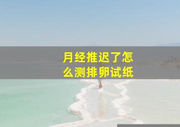 月经推迟了怎么测排卵试纸