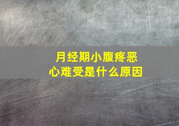 月经期小腹疼恶心难受是什么原因