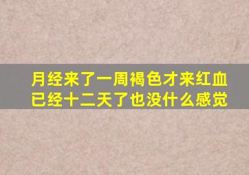 月经来了一周褐色才来红血已经十二天了也没什么感觉