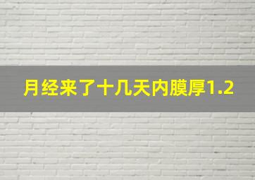 月经来了十几天内膜厚1.2