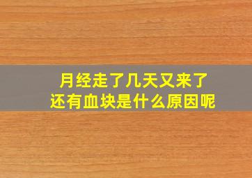 月经走了几天又来了还有血块是什么原因呢