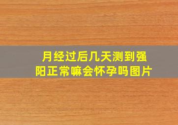 月经过后几天测到强阳正常嘛会怀孕吗图片