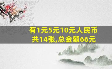 有1元5元10元人民币共14张,总金额66元