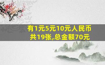 有1元5元10元人民币共19张,总金额70元