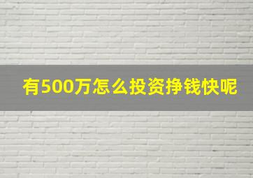 有500万怎么投资挣钱快呢