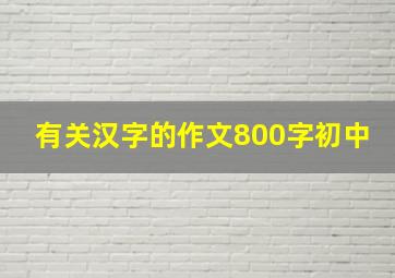 有关汉字的作文800字初中