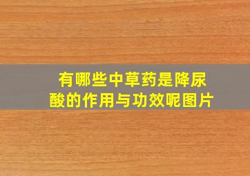 有哪些中草药是降尿酸的作用与功效呢图片