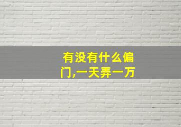 有没有什么偏门,一天弄一万