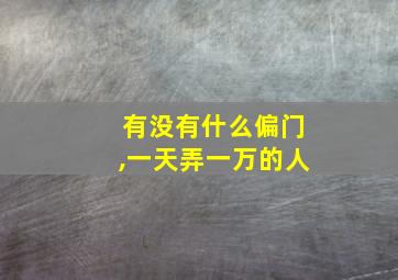 有没有什么偏门,一天弄一万的人