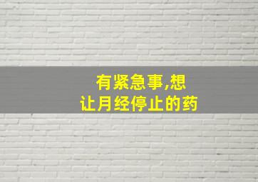 有紧急事,想让月经停止的药