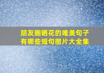 朋友圈晒花的唯美句子有哪些短句图片大全集