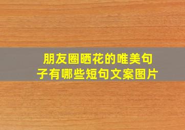 朋友圈晒花的唯美句子有哪些短句文案图片