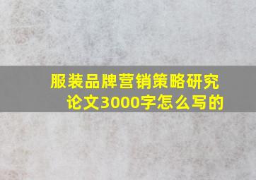 服装品牌营销策略研究论文3000字怎么写的