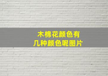 木棉花颜色有几种颜色呢图片