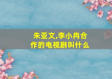 朱亚文,李小冉合作的电视剧叫什么