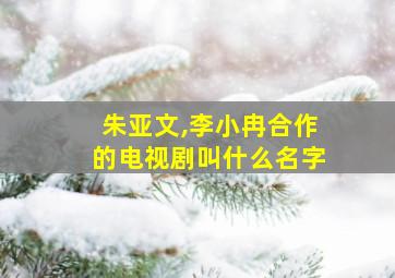 朱亚文,李小冉合作的电视剧叫什么名字