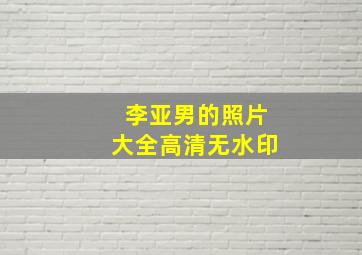 李亚男的照片大全高清无水印