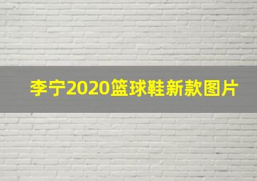 李宁2020篮球鞋新款图片