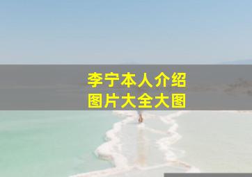 李宁本人介绍图片大全大图