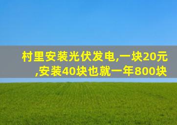 村里安装光伏发电,一块20元,安装40块也就一年800块