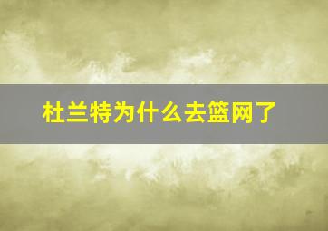 杜兰特为什么去篮网了