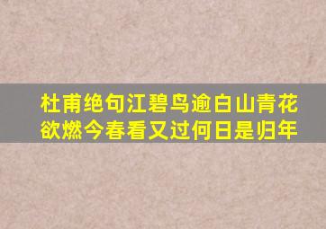 杜甫绝句江碧鸟逾白山青花欲燃今春看又过何日是归年