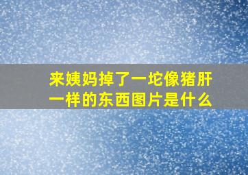 来姨妈掉了一坨像猪肝一样的东西图片是什么