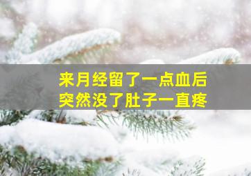 来月经留了一点血后突然没了肚子一直疼