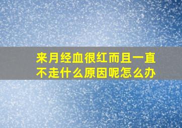 来月经血很红而且一直不走什么原因呢怎么办