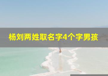 杨刘两姓取名字4个字男孩