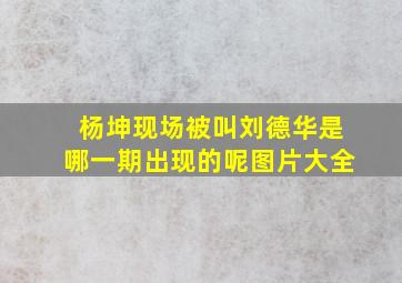 杨坤现场被叫刘德华是哪一期出现的呢图片大全