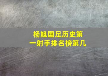 杨旭国足历史第一射手排名榜第几