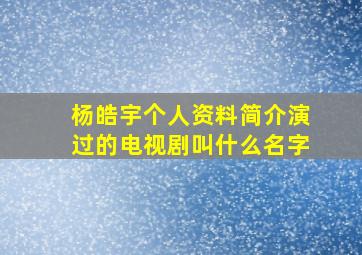 杨皓宇个人资料简介演过的电视剧叫什么名字