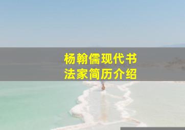 杨翰儒现代书法家简历介绍