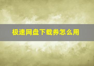 极速网盘下载券怎么用