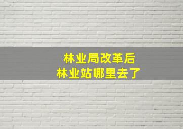 林业局改革后林业站哪里去了