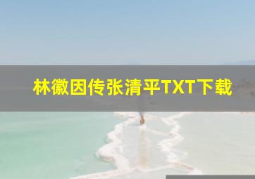 林徽因传张清平TXT下载