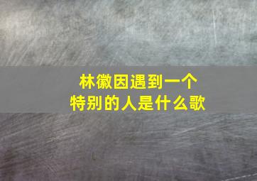 林徽因遇到一个特别的人是什么歌