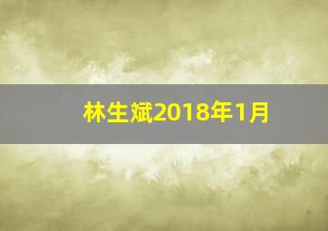 林生斌2018年1月