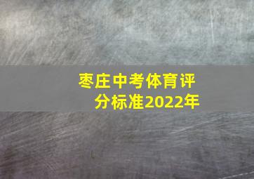 枣庄中考体育评分标准2022年