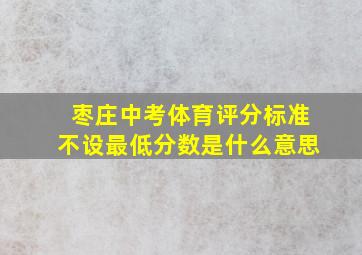 枣庄中考体育评分标准不设最低分数是什么意思