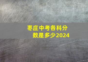 枣庄中考各科分数是多少2024