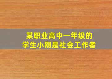 某职业高中一年级的学生小刚是社会工作者