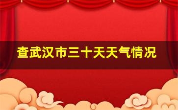 查武汉市三十天天气情况