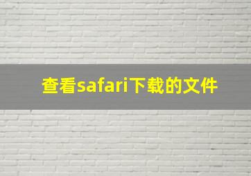 查看safari下载的文件