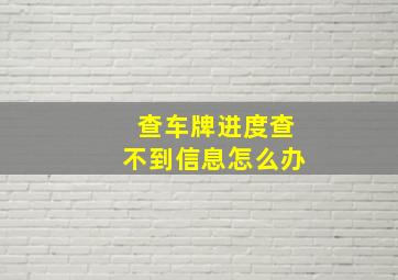 查车牌进度查不到信息怎么办