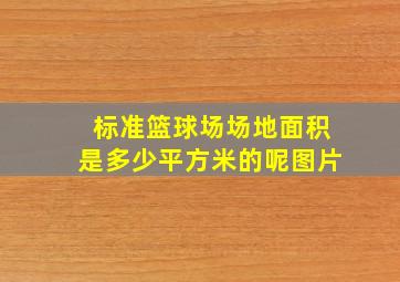 标准篮球场场地面积是多少平方米的呢图片