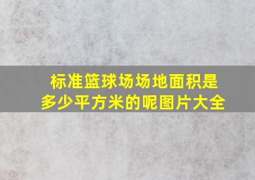 标准篮球场场地面积是多少平方米的呢图片大全