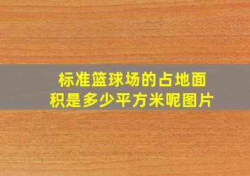 标准篮球场的占地面积是多少平方米呢图片