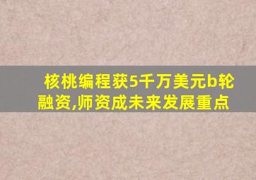 核桃编程获5千万美元b轮融资,师资成未来发展重点